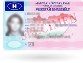 Водительское удостоверение 